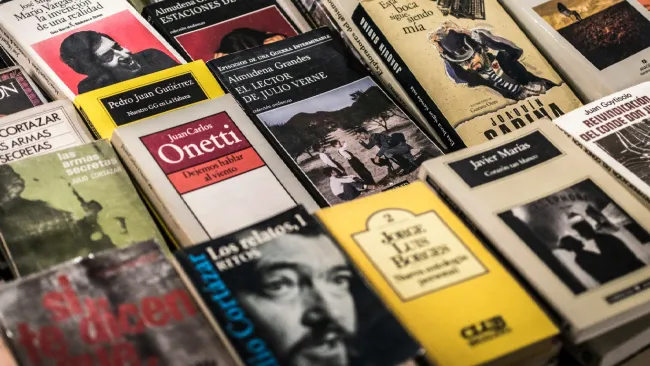 a pile of novels and paperback books