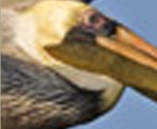 Example of an Image with Low Resolution