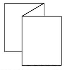 z fold