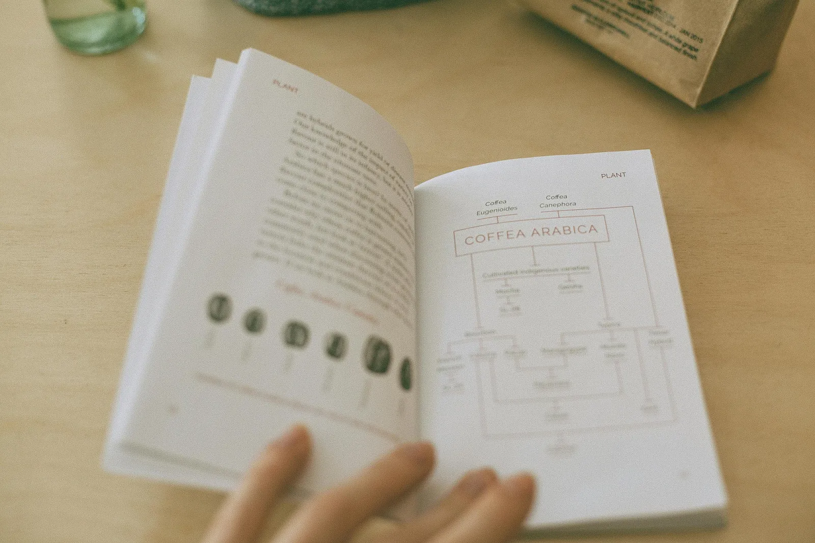 pocket size book
